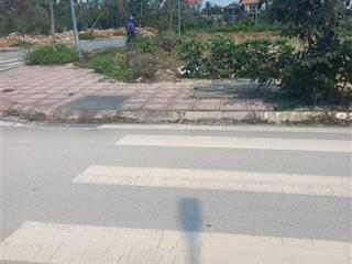 Bán đất tại phường ngọc xuyên, đồ sơn, hải phòng, 3,65 tỷ, 146 m2