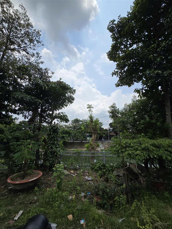 Chủ gấp bán giảm giá liên tục còn 6,5ty tl, 144,1m đất ngang 8m, đường tl43, f. bình chiểu, thủ đức