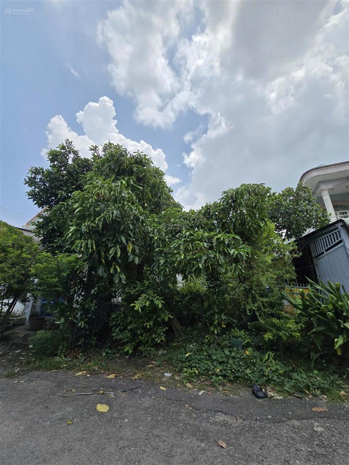 Chủ gấp bán giảm giá liên tục còn 6,5ty tl, 144,1m đất ngang 8m, đường tl43, f. bình chiểu, thủ đức