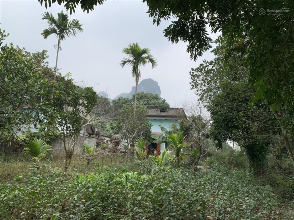 Bán đất đã có nhà tại xã thanh sơn, lương sơn, hòa bình, diện tích 820 m²