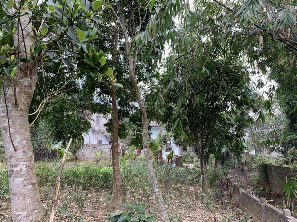 Bán đất đã có nhà tại xã thanh sơn, lương sơn, hòa bình, diện tích 820 m²