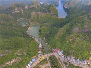 Bán lô đất 95m² khu hà sen  cát bà | mặt tiền 6,3m | phong thuỷ rất tốt