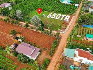 Chủ cần bán 135m² đất full thổ cư  650 triệu view núi đôi đẹp như tranh tại đức trọng lâm đồng