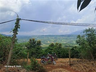 Bán 1000m² 80m2 ont vườn sầu riêng tại đan phượng, lâm hà, lâm đồng, view đồi núi