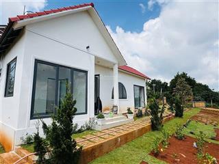 Bán homstay nghỉ dưỡng 301m² 127m2 ont sổ riêng 1 tỷ 5 full nội thất tại tân hà, lâm hà