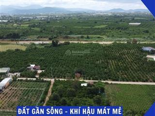 Chỉ 430 triệu sở hữu ngay 200m² sổ riêng sẵn thổ cư đinh văn lâm hà lâm đồng