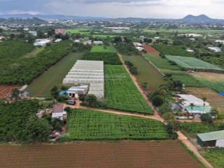 Chính chủ bán đất gần sân bay liên khương chỉ 640 triệu sổ hồng riêng sẵn thổ cư