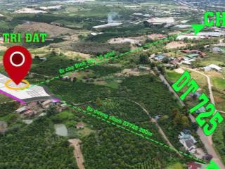 Đất nền đinh văn, lâm hà 550 triệu sẵn sổ riêng 7x38m, sẵn thổ cư view săn mây nghỉ dưỡng