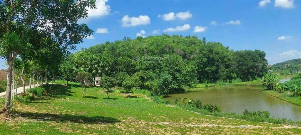 Chính chủ cần bán lô đất nghỉ dưỡng bám hồ yên bài