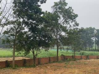 Đất nghỉ dưỡng view núi view cánh đồng bát ngát nằm trong quần thể nghỉ dưỡng