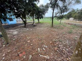 Đất nghỉ dưỡng đầu tư view cánh đồng tại vân hoà, ba vì, hà nội