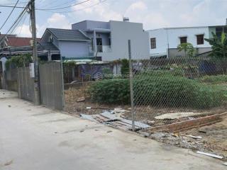 Bán đất gần chợ 26 diện tích 450m2 đến 1000m2, phường tân phong
