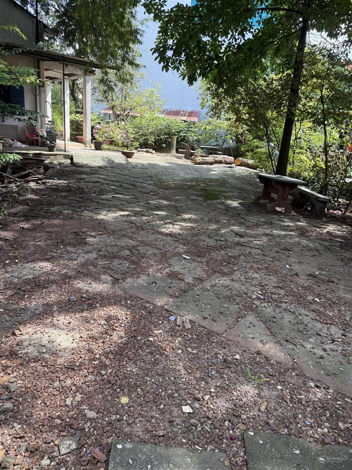 Bán lô đất 104m thổ cư toàn bộ hẻm xe hơi