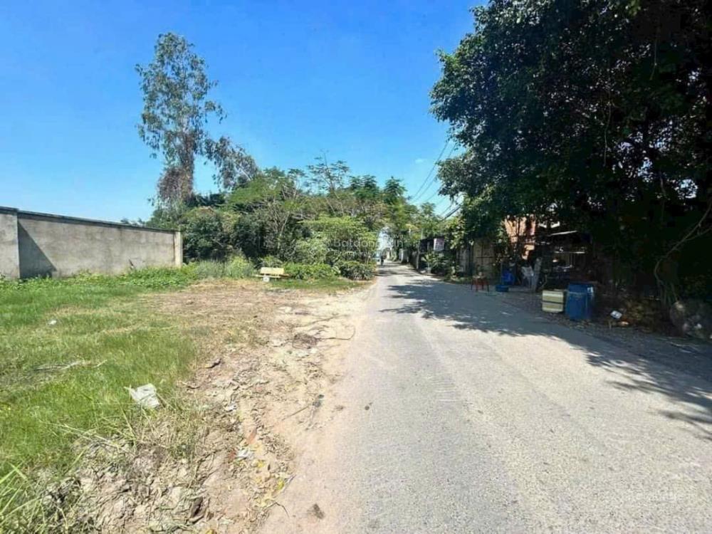 Bán gấp đất nền ngay chợ bình chánh, diện tích 100m2, công chứng trong ngày