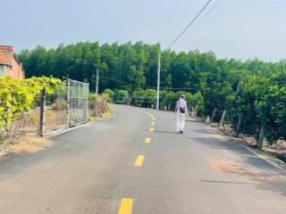 Bán 6 lô f0 khu kcn xã đất đỏ  tp hcm.dt 355m2 (10  35 )giá đầu tư tốt. vị trí dân cư thuận tiện