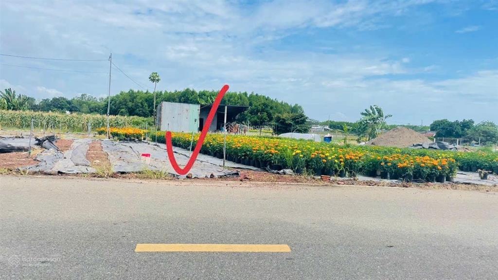 Bán đất đường nhựa tiềm năng tăng mạnh xã đất đỏ  tphcm. giá 950tr khu dân cư gần biển và kcn