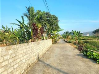 Làm gì còn lô nào giá này. đông sơn, trục thông, ngõ ô tô 7 chỗ. mà giá chỉ 880tr. không lỗi lầm. d
