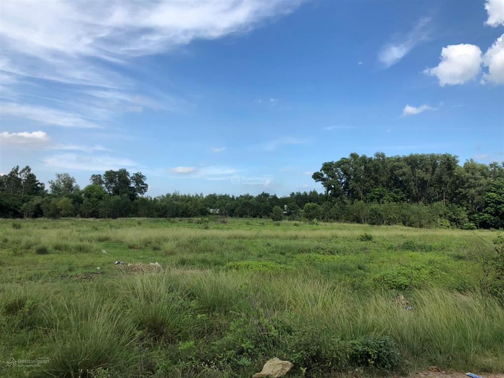 3.5 triệu/1m vuông đất gần chợ châu pha để lập dự án 1/500 có sẵn 1080m2 thổ cư