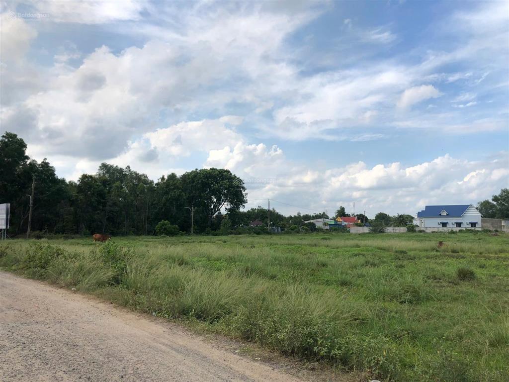 3.5 triệu/1m vuông đất gần chợ châu pha để lập dự án 1/500 có sẵn 1080m2 thổ cư