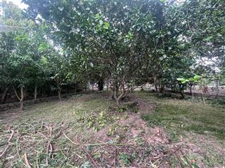 Bán đất thổ cư suối hiệp 335m² có vườn cây trái ô tô tới đất giá 2,2 tỷ