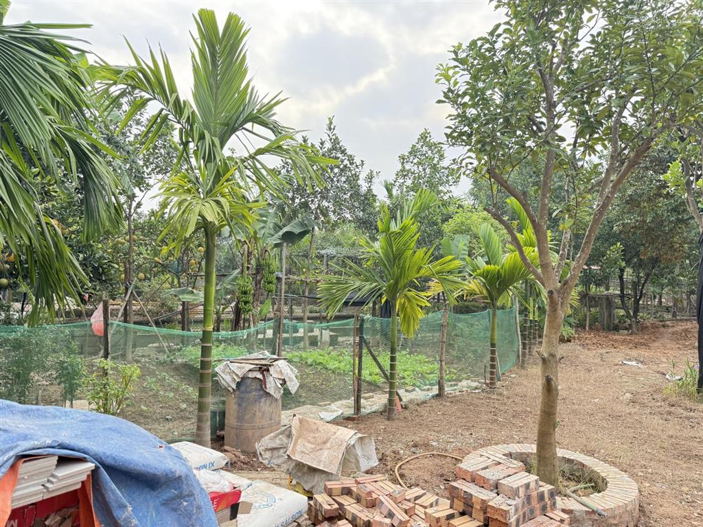 Đất nhà vườn nghỉ dưỡng tại chùa thầy, quốc oai