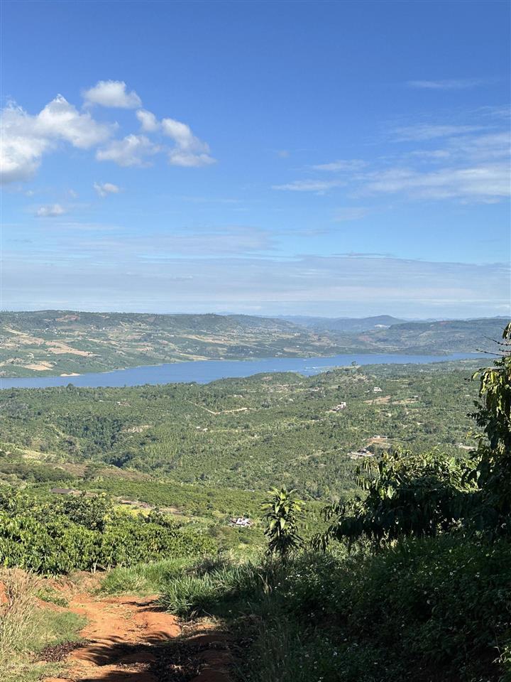 Bán đất nghỉ dưỡng di linh 10.000m2 thổ cư view hồ đồng nai 2 mặt tiền sông chỉ 12,5 tỷ
