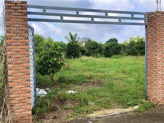 Bán đất 3000m2 tại đường 873b, tân tây, gò công đông, tiền giang chỉ với giá tốt 3,4 tỷ