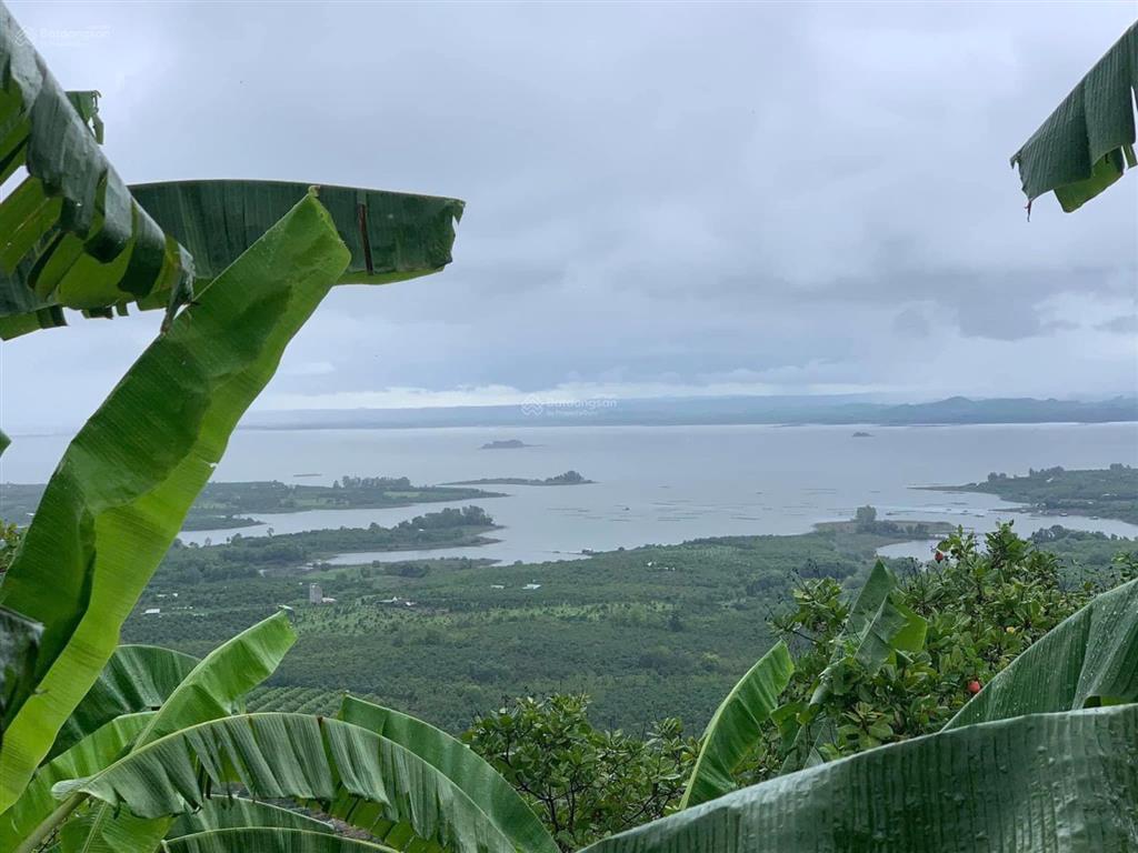 Bán đất 1000m2 tại đường 20, gia tân 3, thống nhất, đồng nai, giá siêu hời 990 triệu