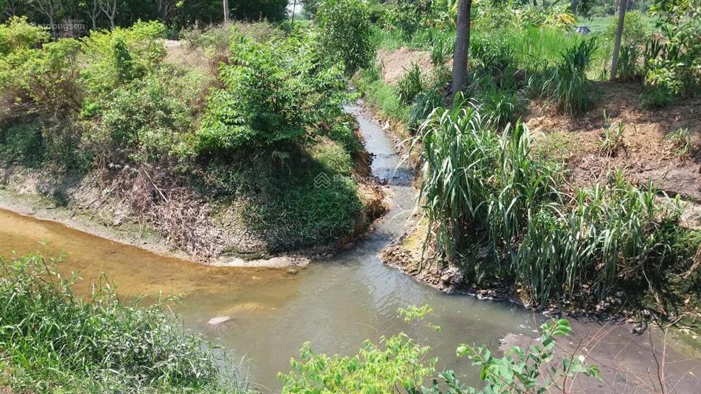 Bán đất 1000m2 tại đường 20, gia tân 3, thống nhất, đồng nai, giá siêu hời 990 triệu