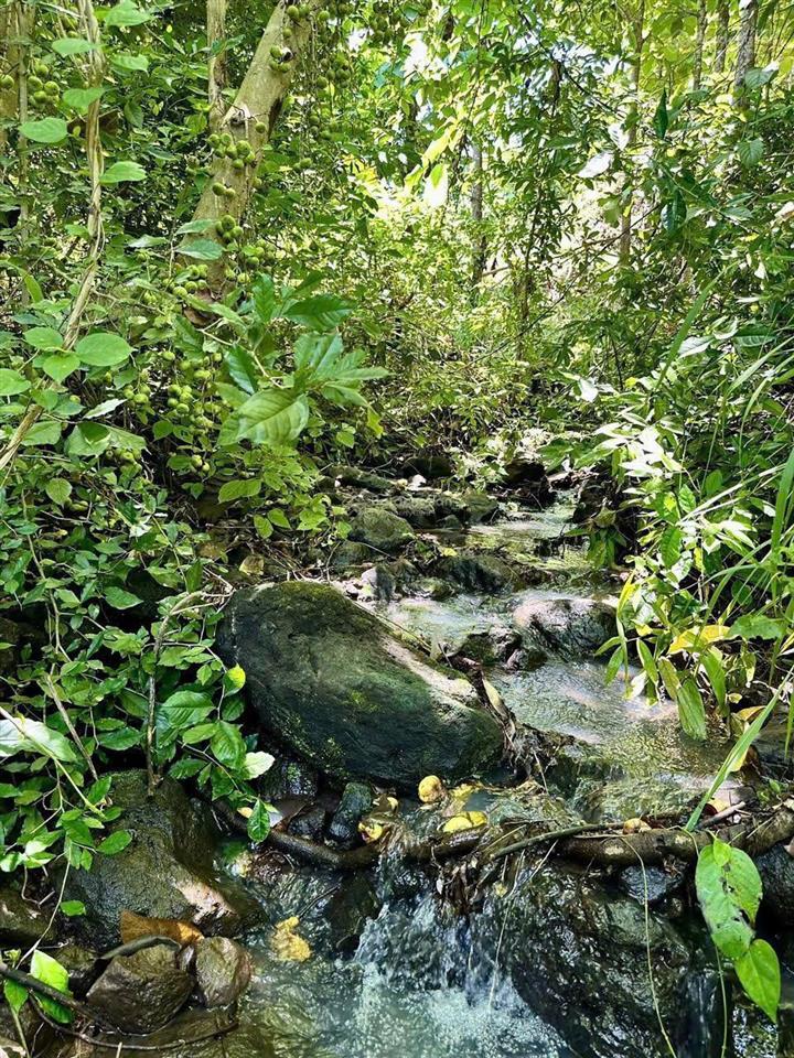 Bán đất 1000m2 tại đường 20, gia tân 3, thống nhất, đồng nai, giá siêu hời 990 triệu