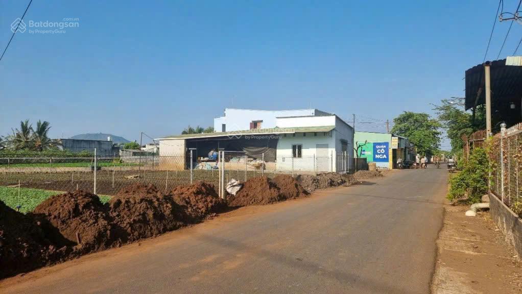 Bán đất tại thống nhất, đồng nai, 350 triệu(nh hỗ trợ 50%) , 160m2 full thổ cư xây dựng tự do