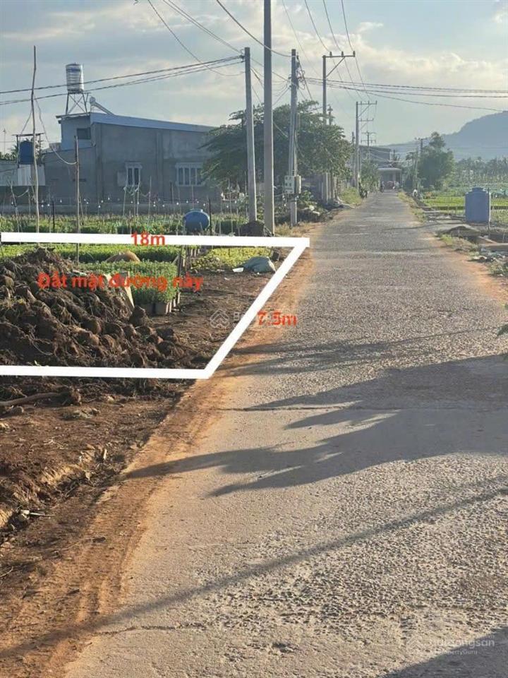 Bán đất tại thống nhất, đồng nai, 350 triệu(nh hỗ trợ 50%) , 160m2 full thổ cư xây dựng tự do