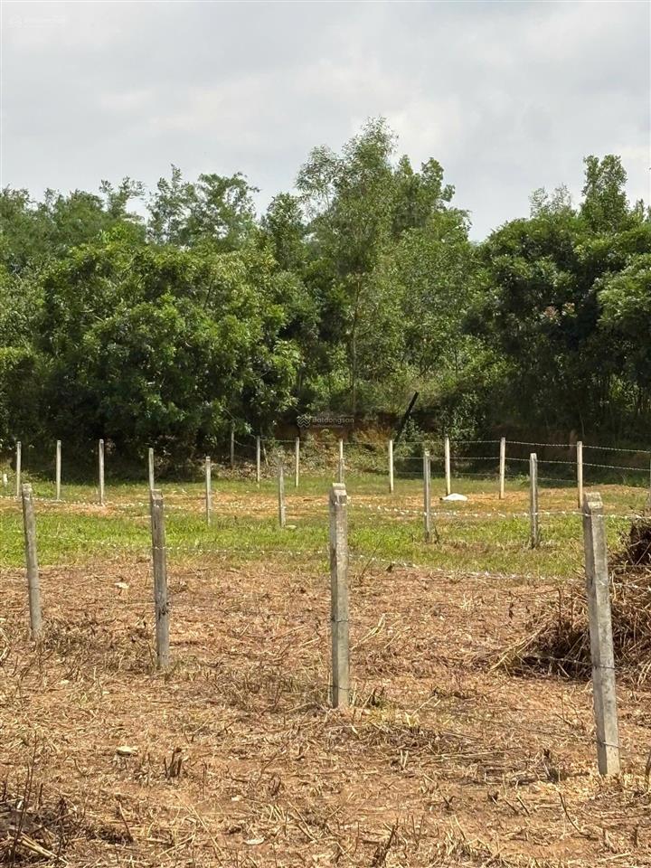 Đất đầu tư la ngà  sát kcn túc trưng  full hồng sẵn thổ cư , giá chủ kẹt bán trước tết