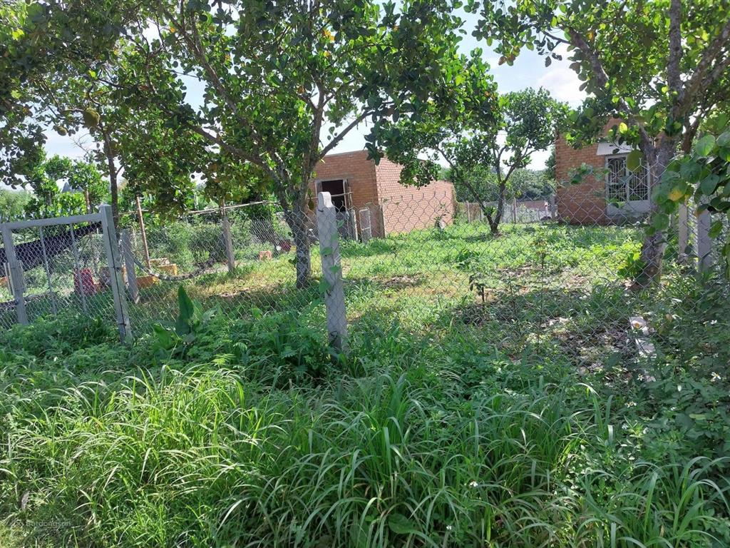 Đất đầu tư phú túc giá mềm, dễ ra hàng phú túc | cách tp.hcm ~80km 2000m2 rộng rãi