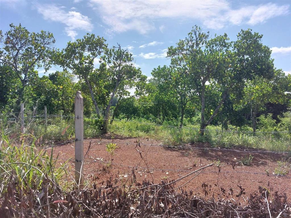 Đất đầu tư phú túc giá mềm, dễ ra hàng phú túc | cách tp.hcm ~80km 2000m2 rộng rãi