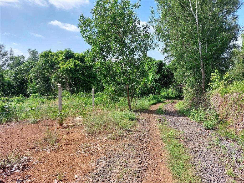 Đất đầu tư phú túc giá mềm, dễ ra hàng phú túc | cách tp.hcm ~80km 2000m2 rộng rãi