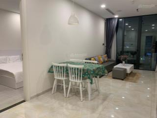 Cho thuê căn hộ 1pn  1wc full nội thất tại vinhomes golden river bason, giá thuê 20 triệu/tháng