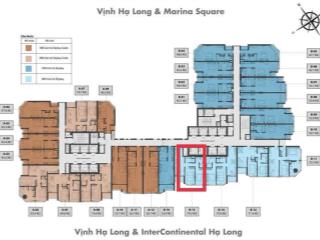 Bán căt lỗ chung cư cao cấp alacarte full nội thất