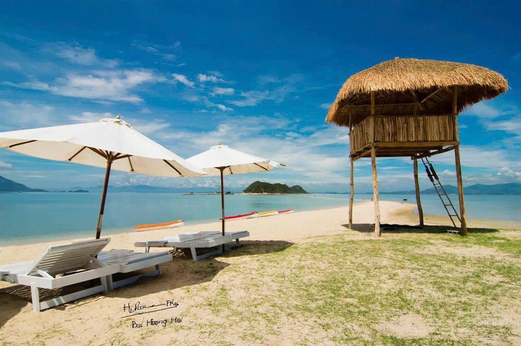 Bán đất thổ cư 149m2 mặt biển đảo điệp sơn  lô góc cạnh khu du lịch luzumi giá rẻ