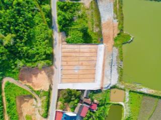 Bán gấp đất nền 126m2 tại đt 317b, xã tu vũ, thanh thủy, phú thọ, 680 triệu