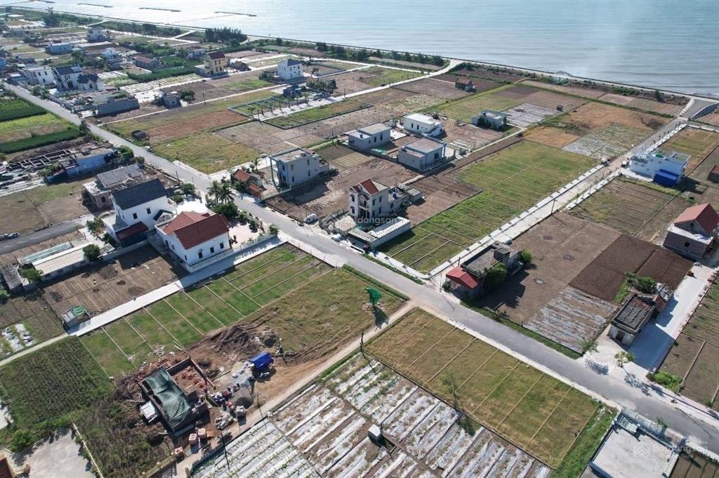 Chủ đầu tư mở bán đất nền mặt biển quất lâm. giá cực rẻ, tiềm năng tăng trưởng rất cao