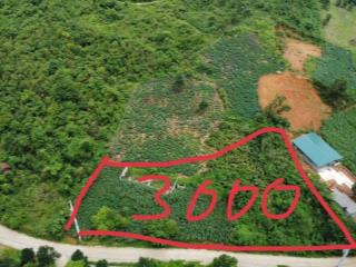 Bán đất nghỉ dưỡng, homestay, resort, villa, nhà xưởng, kho bãi  ngay em công sđt 096417855 zalo