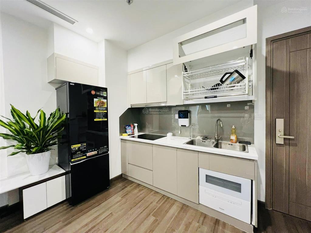 Cho thuê căn 1 phòng ngủ full nội thất đẹp, nhà mới vinhomes symphony riverside, giá cực tốt
