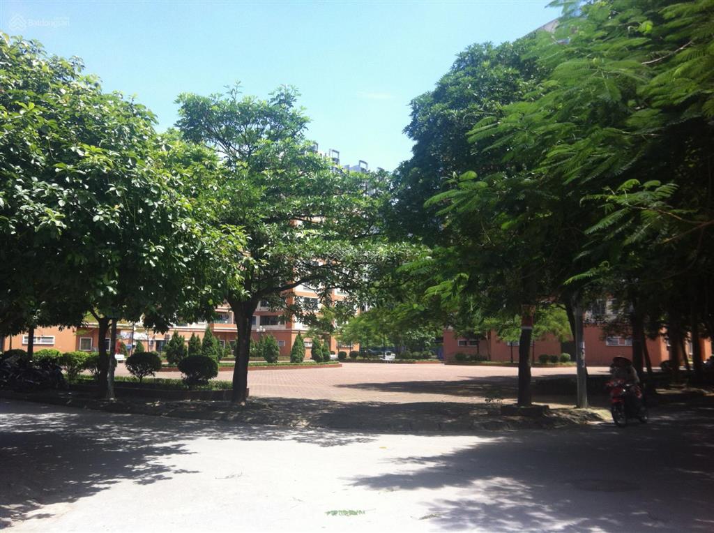 Bán biệt thự mặt nguyễn khuyến kđt văn quán, kinh doanh tốt, 265m2, 78 tỷ, có tl 0903 491 ***