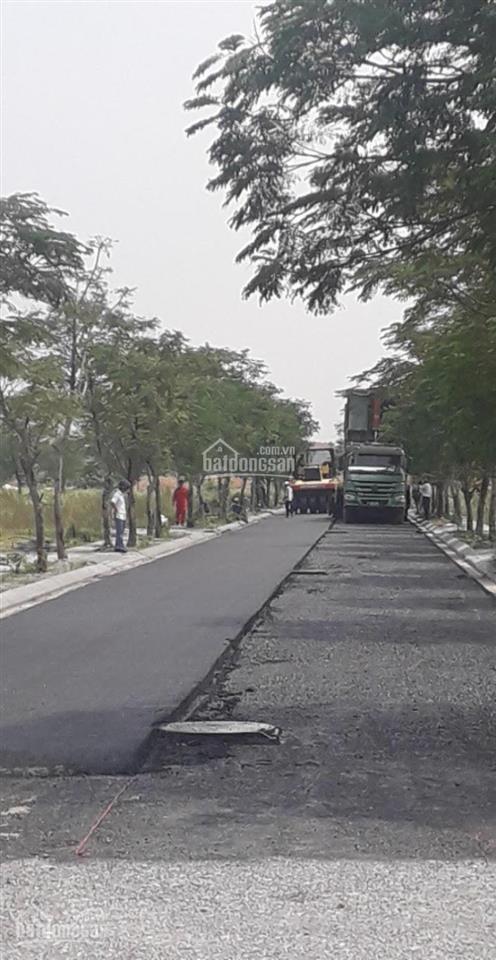 Cần bán đất biệt thự đơn lập dự án mê linh vista  minh đức, dt 262m2