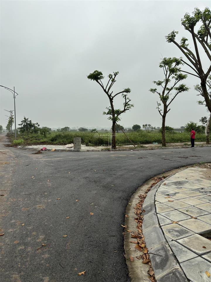 Cần bán đất biệt thự đơn lập dự án mê linh vista  minh đức, dt 262m2