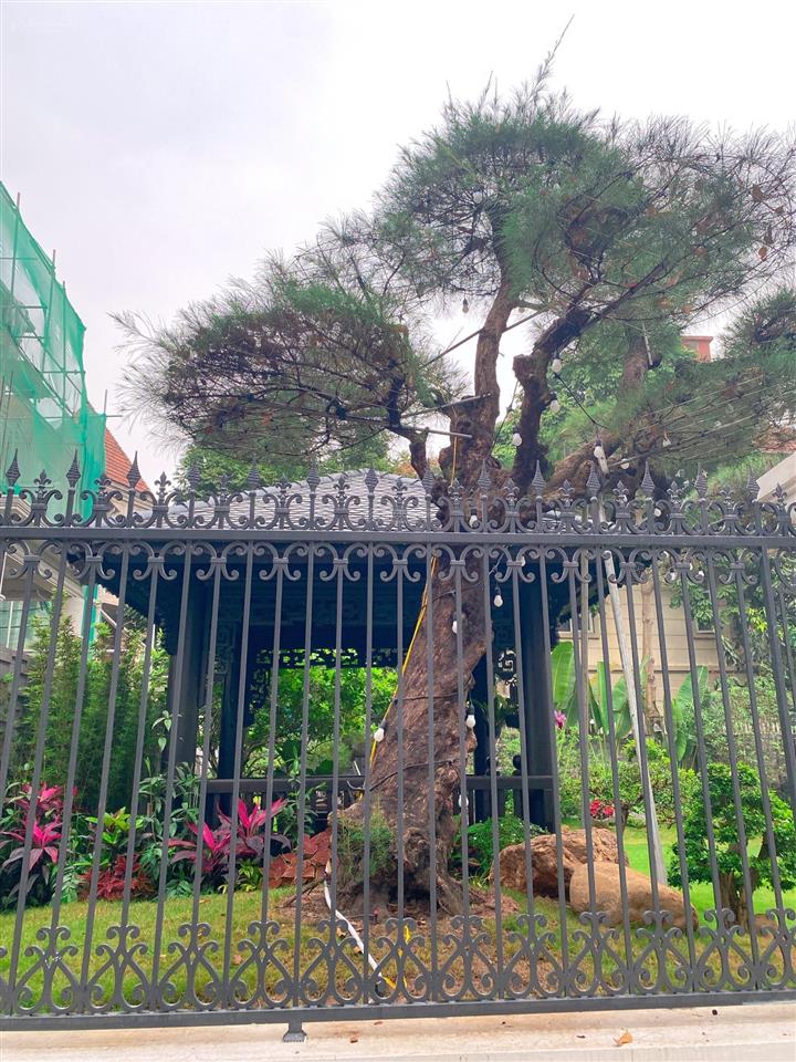 Bán song lập 190m2 khu hồ bảo sơn giá từ 34 tỷ, liền kề giá từ 25.5 tỷ