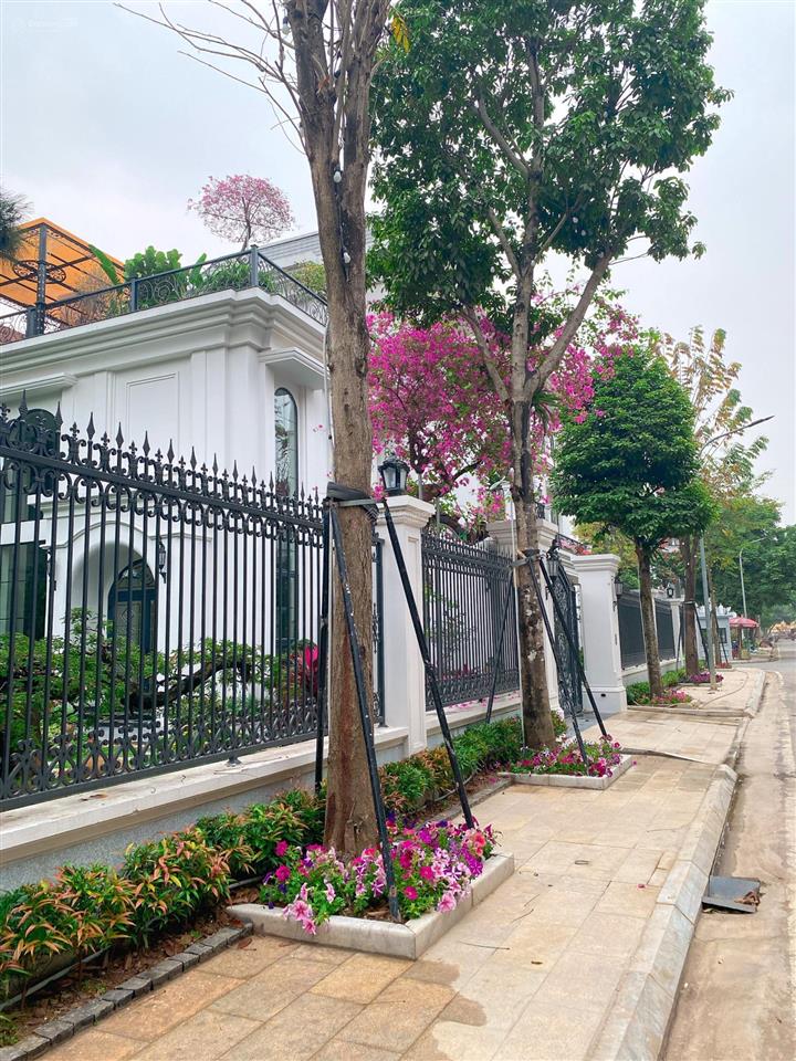 Bán song lập 190m2 khu hồ bảo sơn giá từ 34 tỷ, liền kề giá từ 25.5 tỷ