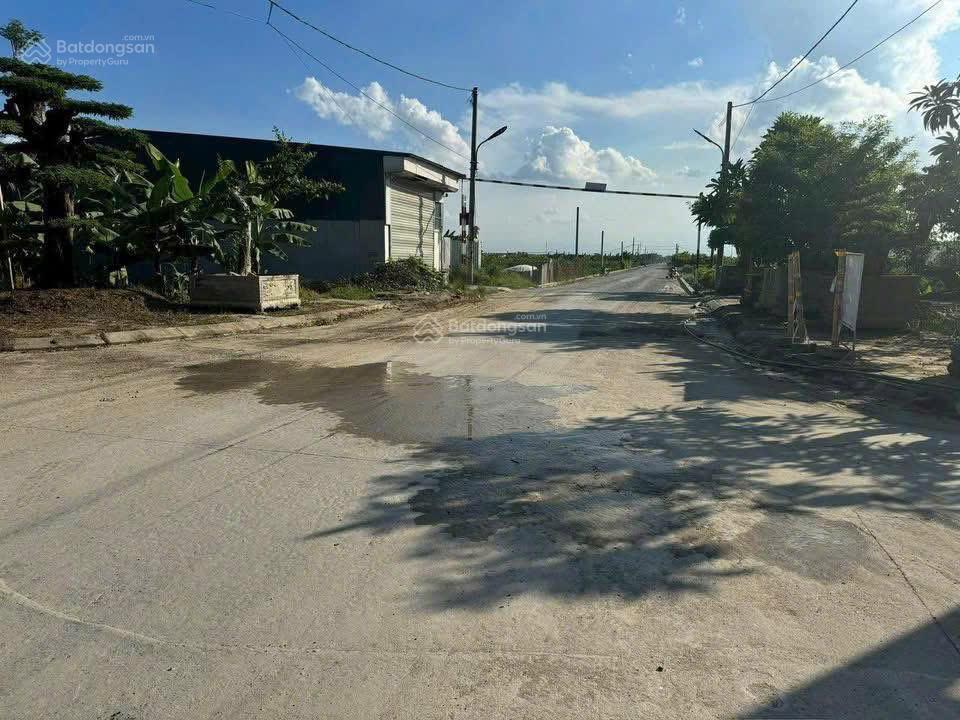 Bán đất bt tại xã hoàn long, yên mỹ, hưng yên, giá siêu hời 50 triệu/m2, 100m2