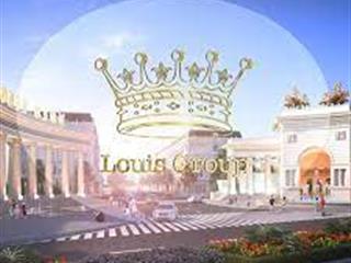 Tôi chính chủ cần bán liền kề louis 9 đại mỗ, nam từ liêm giá đầu tư